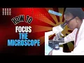 MICROSCOPY FOCUS Like a PRO with Top Microscope Tips