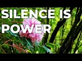 The Tragic Cost of Knowing Too Much Why Silence Is Your Ultimate Power Play