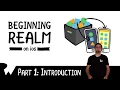Beginning Realm on iOS - Introduction