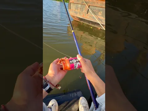 Fishing by Linzi corn bait 🌽 with fishing rod in 2026 #fishing #fish #carp #fishingrod