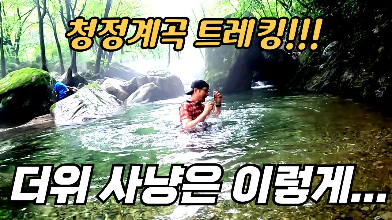 주차장 1분 거리에서 시작되는 계곡을 따라서 화장실 14개 _ 계곡 포인트 곳곳을 담았습니다 _ 지장산 계곡 트레킹 _ 등산 サムネイル