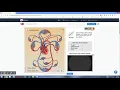 Circulatory system gizmo introduction