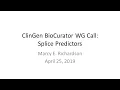 Splicing and in silico splicing predictors