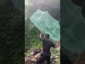 Download Lagu Amazing Chinese technique of fishing with agarwood net?