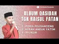 Download Lagu ALBUM QASIDAH TGK RAISUL FATAN 2022