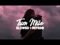 Download Lagu Tum Mile [slowed + reverb]
