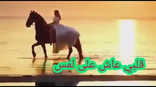 انت روحي وكل عمري ونور حياتي 