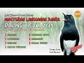 Download Lagu Masteran Kacer Juara Full Isian 2025 | Suara Burung Terlengkap: Cililin, Kenari, Serindit, Lovebird
