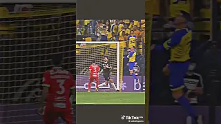 اسطبلات واحصنه كتير 