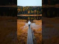 Download Lagu Gym Class Heroes_Stereo Hearts l My Heart's a Stereo l Aesthetics  #stereohearts#saimusiceditor