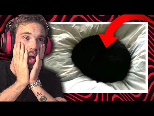 97% of people cant tell what this is