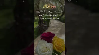 سورة الحجر 55 56 