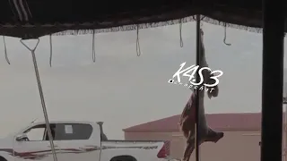 شيلة يوي يوي يوي  فهد بن فصلا بطيء دندنها