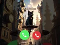 Download Lagu Cat Calling – Ring Ring Meow! 📞🐱 #calling #ringtone