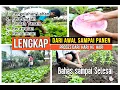 Download Lagu CARA TANAM SAWI SAMPAI PANEN ( Olah Tanah, Semai, Pindah Tanam dan Perawatan Sawi )