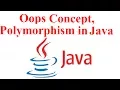 Oop s Concept Polymorphism in Java Programming