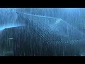 Download Lagu Sleeping Soundly with Heavy Rain \u0026 Thunder Roaring Above the Corrugated Iron Roof in the Night Mist