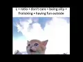 L ratio but it s wholesome