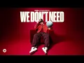 Download Lagu CYRIL - We Don't Need (Official Audio)