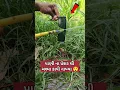 Download Lagu પાણી ના પ્રેશર થી ચશ્મા કાપી 😲 #viralvideo