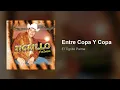 El Tigrillo Palma - Entre Copa Y Copa (Audio)
