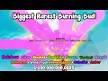 Download Lagu I Grew The Biggest And Rarest Burning Bud In Grow A Garden!
