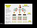 1TTO 5 5 Feudal system