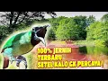 Download Lagu MASTERAN CUCAK IJO FULL TEMBAKAN KASAR