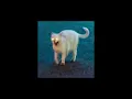 Download Lagu No Money - Galantis (sped up)