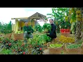 Lagu Harvest Snails, Crabs, Taro, Red Bean, Homegrown Vegetable,.. With My Brother - Cooking – Farm Life
