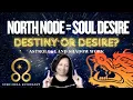 North Node Conjunct Planets The Shadow Work Behind Your Soul s Destiny