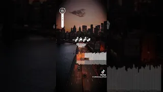 حالات واتس اب وحشوني ليالي الحب معاك اه 