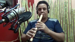                                                                    دندنها