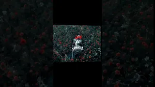 غريب لست اعرفني زياد ايمن القادم أفضل بإذن الله 