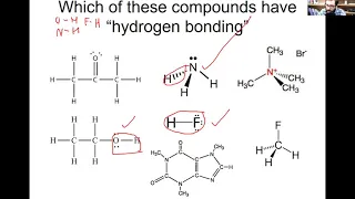Intermolecular Forces Practice Problems - 10 4