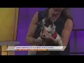 SPCA of East Texas Jerry Seinfeld