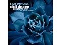 Download Lagu Lost Witness - Did I Dream (Song Of The Siren) (Original 2002)