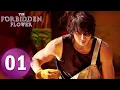 Download Lagu 【The Forbidden Flower】EP01——Starring: Jerry Yan, Xu Ruohan | ENG SUB