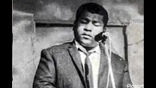 عبادي العماري فهل زائل ذاك الصدود مقام لامي 