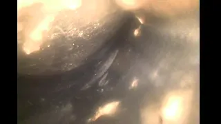 2026 08 09 14 53 52