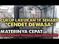Download Lagu CARA BENAR MENAMBAH LAGU/MATERI PADA CENDET DEWASA AGAR GACOR! VERSI BANG UCUP