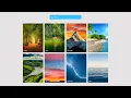 Responsive Image Gallery with Search Bar Using HTML CSS JavaScript