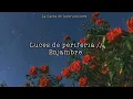 Luces de periferia // Enjambre  [Letra]
