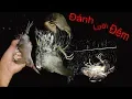 Download Lagu Tiếng Chằng Nghịch Đánh Lưới Đêm Quốc Hoa , Gà Nước Vằn File • Rừng Già Ký Sự