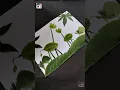 Easy peasy leaf art scenery