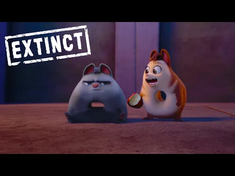 Flummels are supposed to be #Extinct, but these two are out to rewrite history!