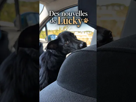 Des nouvelles de Lucky 🥹