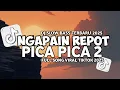 Download Lagu DJ TIMUR KE BARAT SELATAN KE UTARA | DJ NGAPAIN REPOT X PICA PICA 2 SLOW VIRAL TIKTOK MAMAN FVNDY