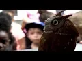Science Rocks August 2017-Kindergarten Summer Bridge - Florida Birding