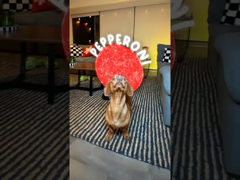 Me hicieron una BÚSQUEDA DE TESORO 🏴‍☠️😱🥳
